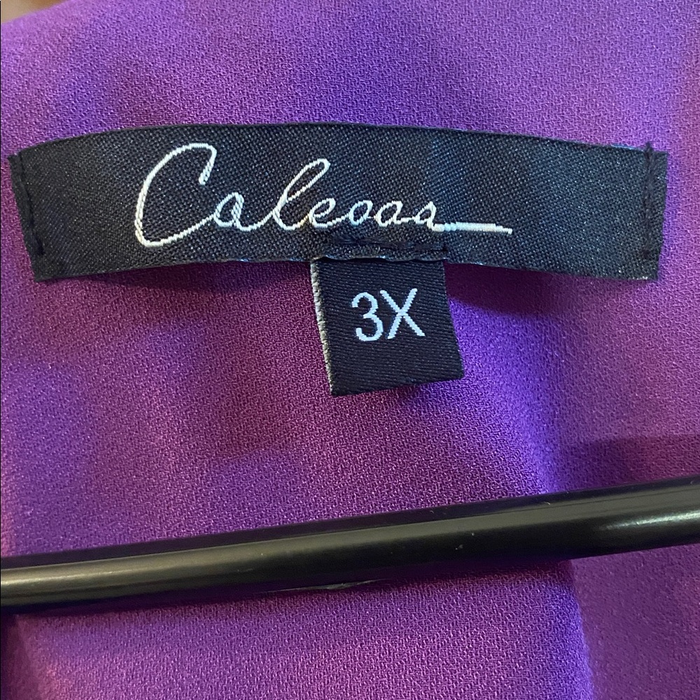 CALEESA Beautiful Elegant Purple Blouse with Ruffled Sleeves - Picture 10 of 10